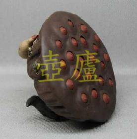 放大